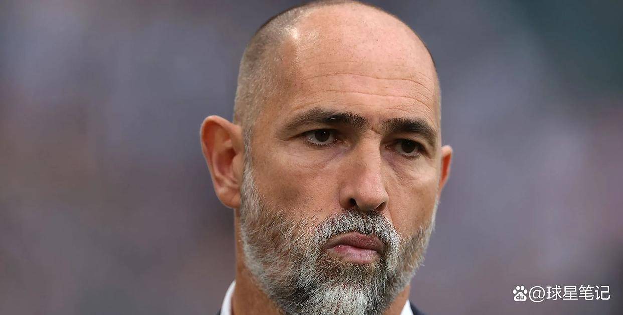 还是队内竞 还是队内竞